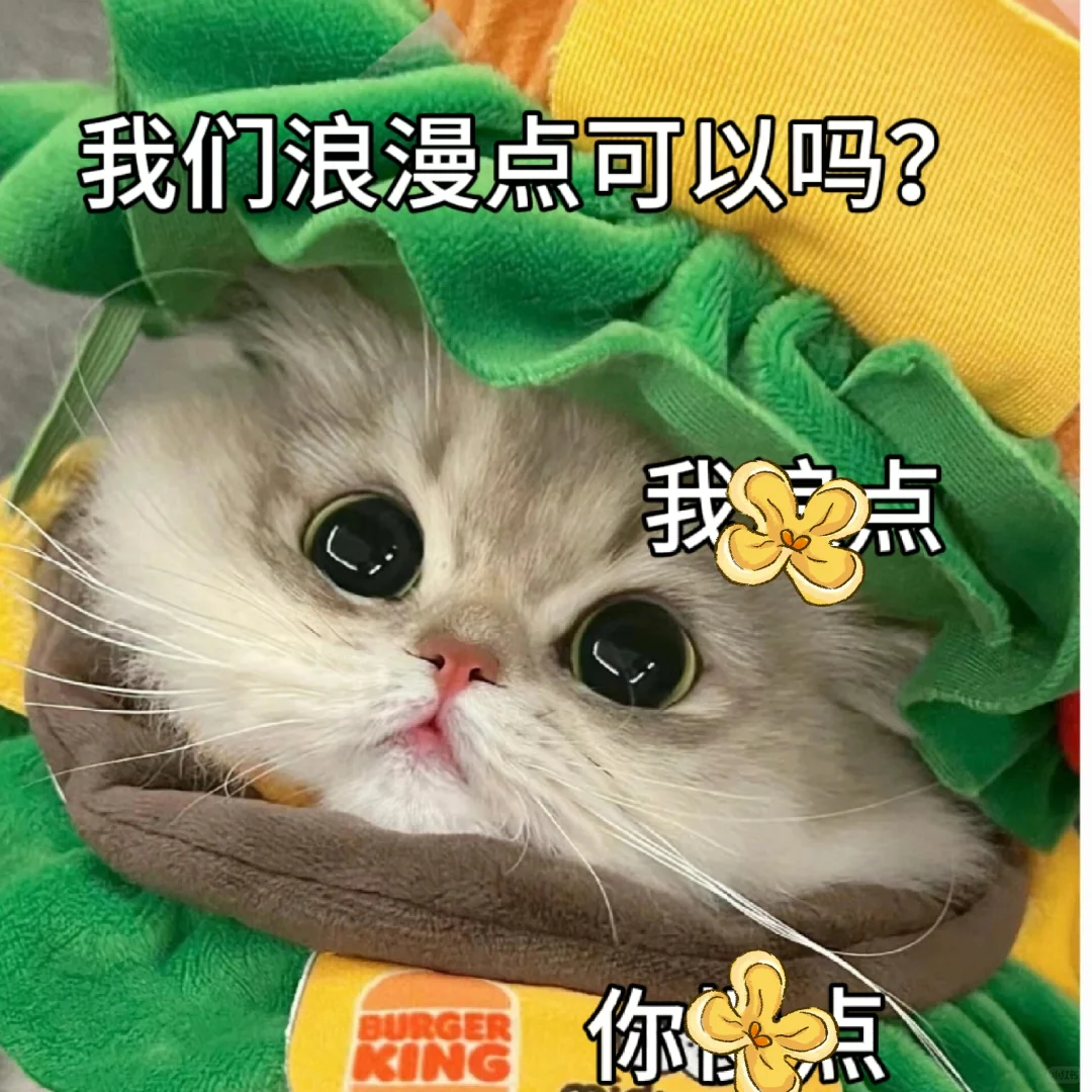 调戏男朋友的猫咪表情包