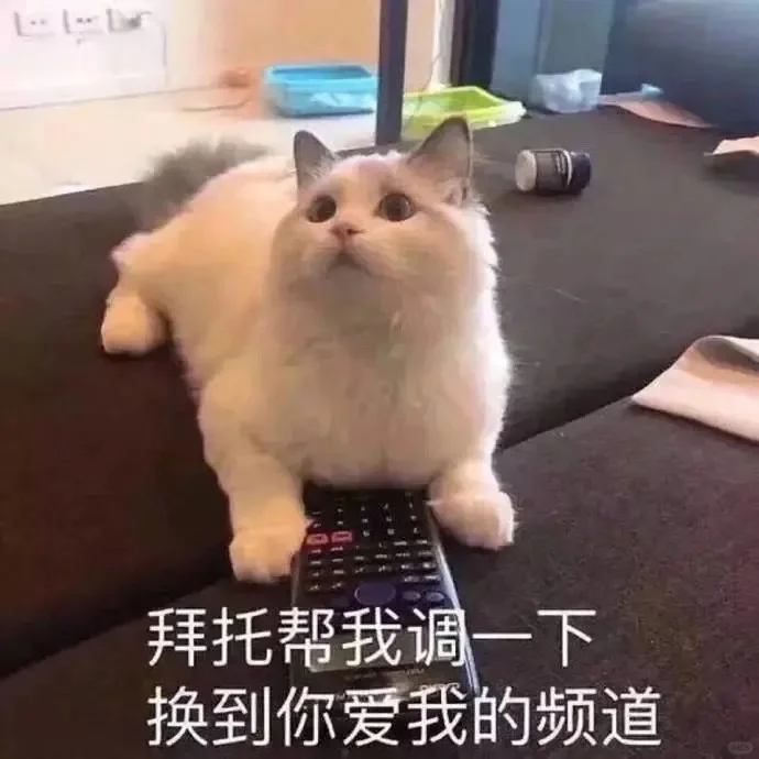 情侣互撩猫咪表情包