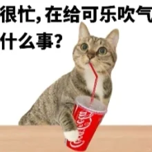 搞笑猫猫打工人发疯表情包