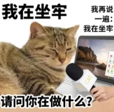 搞笑猫猫打工人发疯表情包