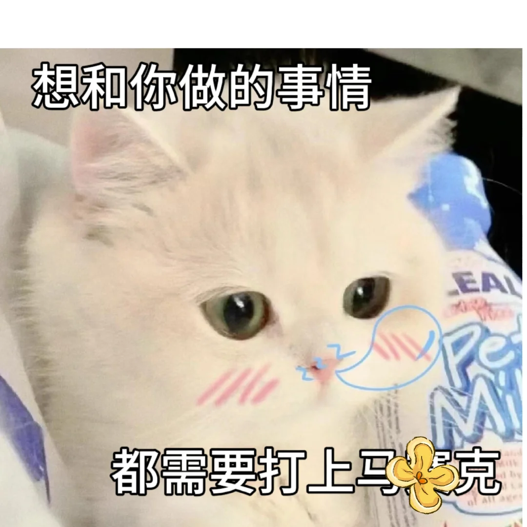 调戏男朋友的猫咪表情包