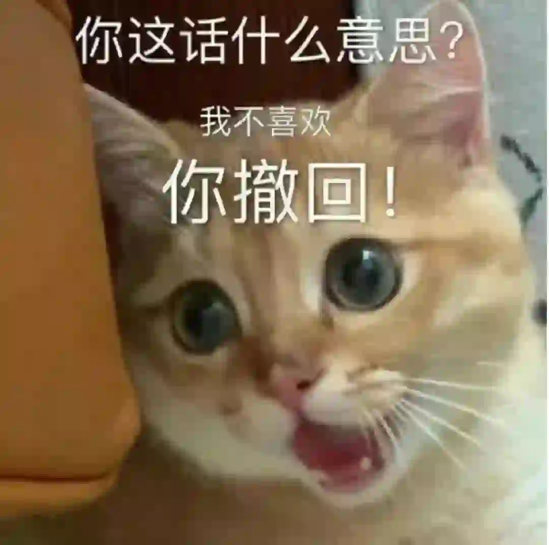 你这话什么意思 给我撤回！ 表情包