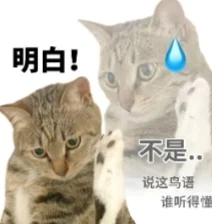 搞笑猫猫打工人发疯表情包