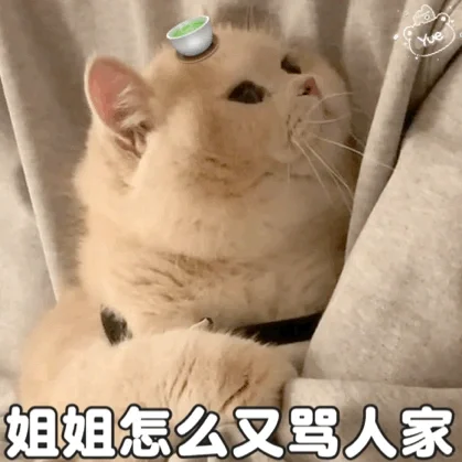 情侣互撩猫咪表情包