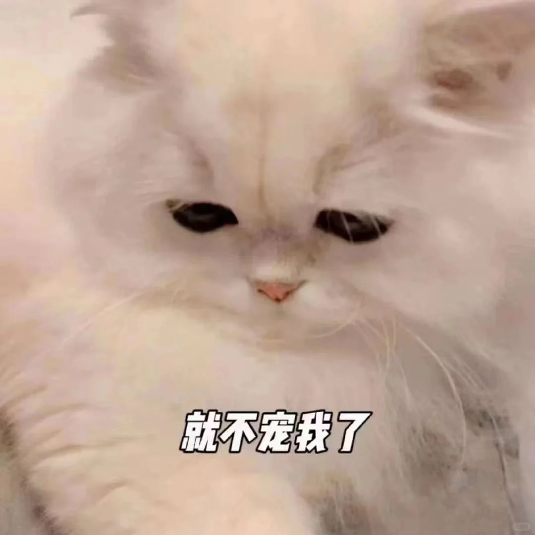 可爱猫咪?发给对象表情包