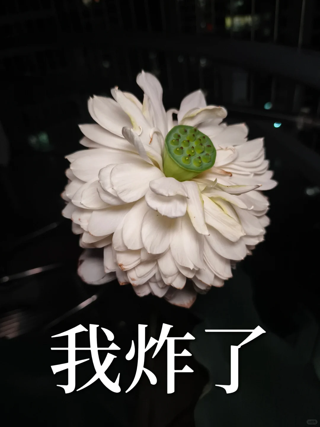 一些莲花表情包