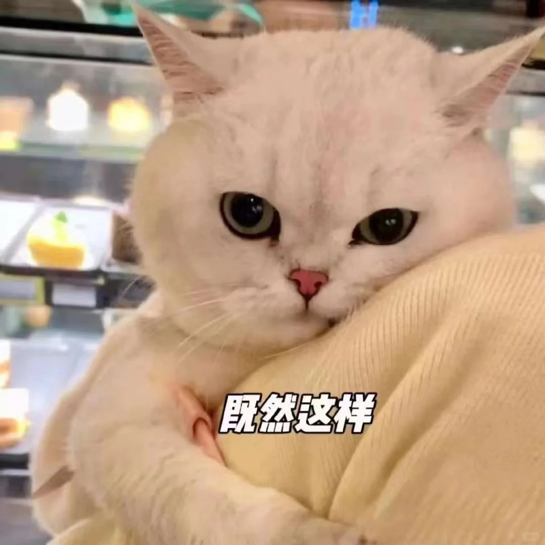 可爱猫咪?发给对象表情包