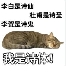 搞笑猫猫打工人发疯表情包