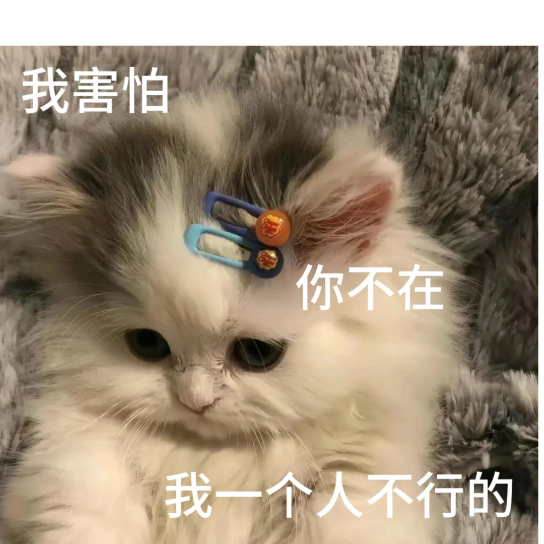 调戏男朋友的猫咪表情包