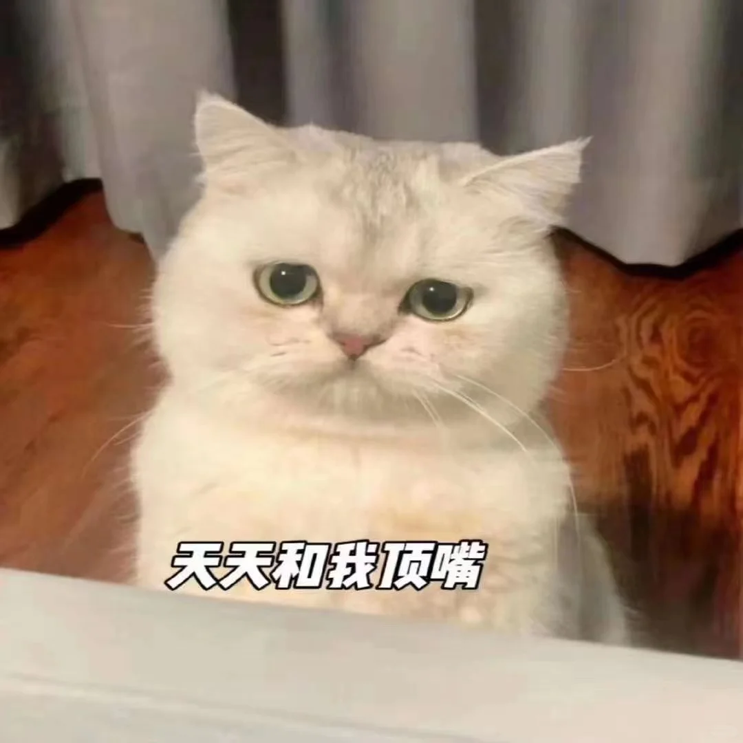 可爱猫咪?发给对象表情包