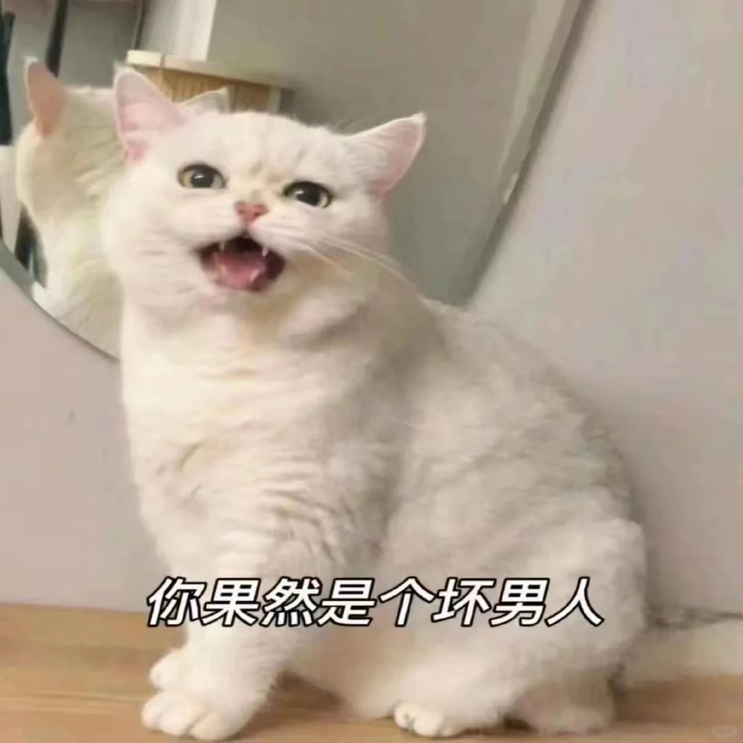 可爱猫咪?发给对象表情包