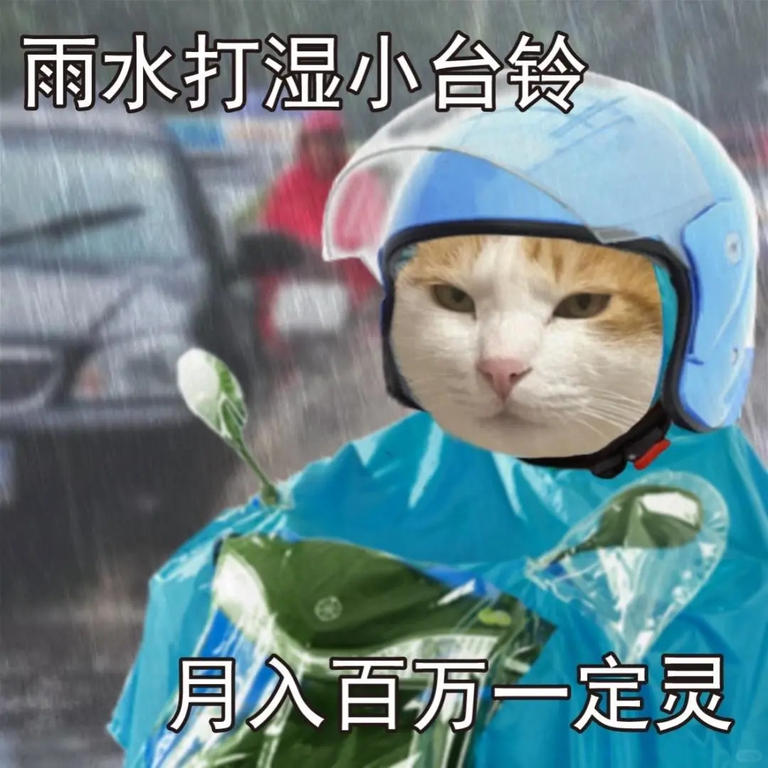 适合下雨天打工人的搞笑表情包