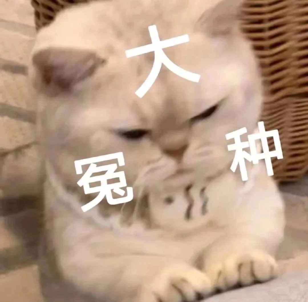 更新一组猫猫表情包!