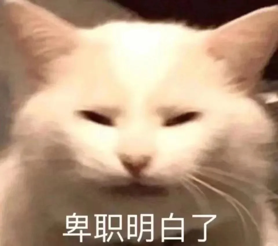 更新一组猫猫表情包!