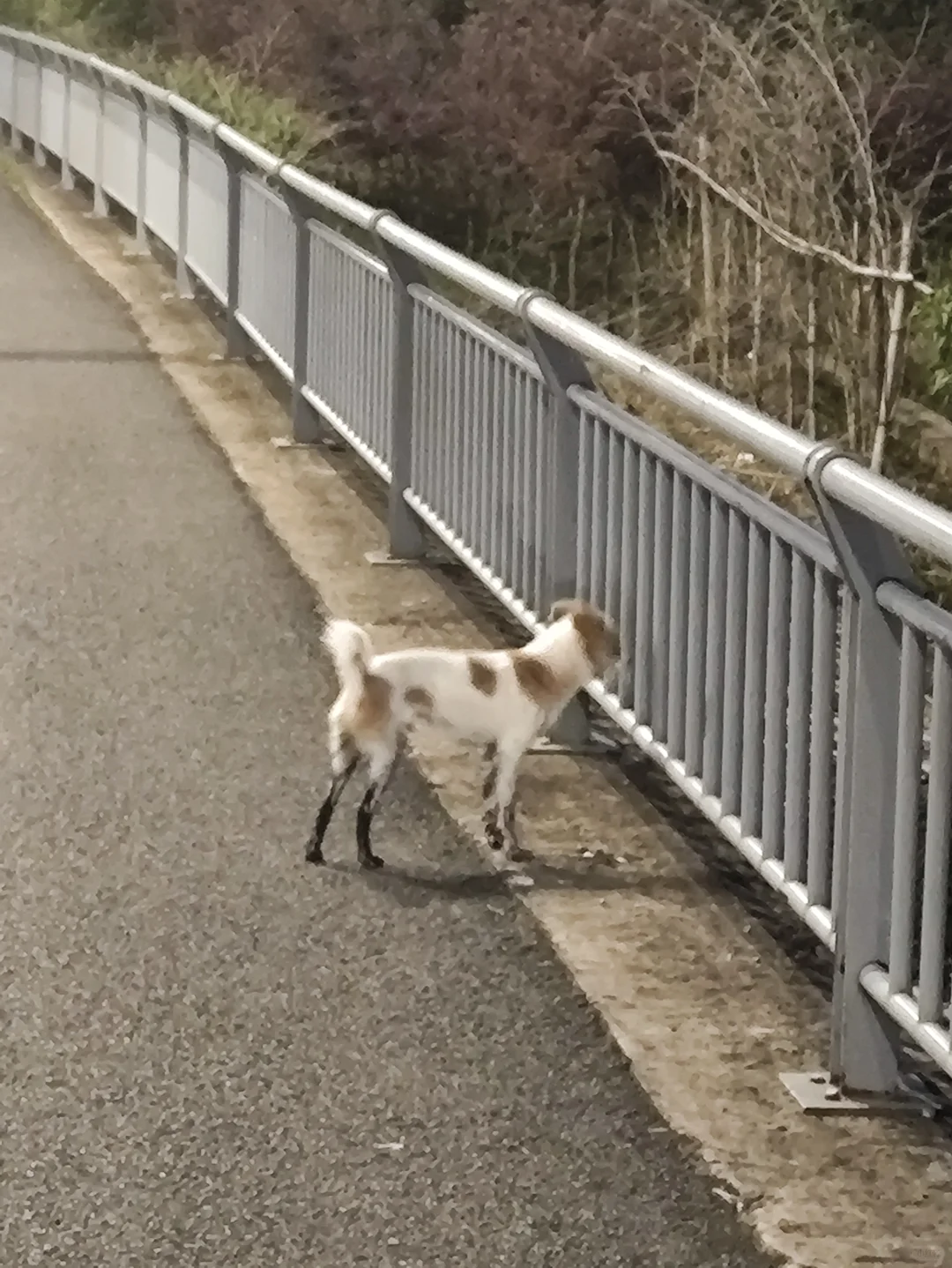 一不小心穿了黑丝