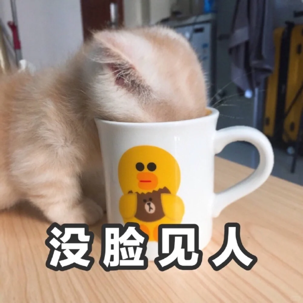 谁能拒绝小猫咪呢?小情侣必备表情包