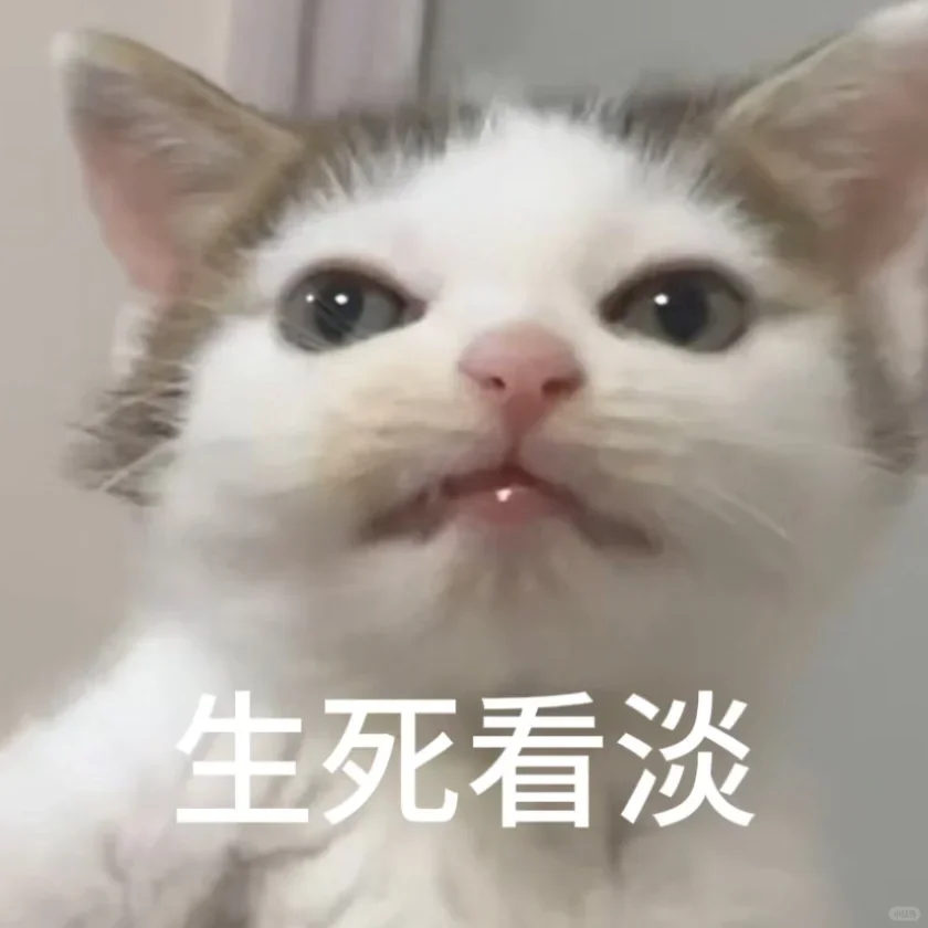 表情包｜猫猫第二弹