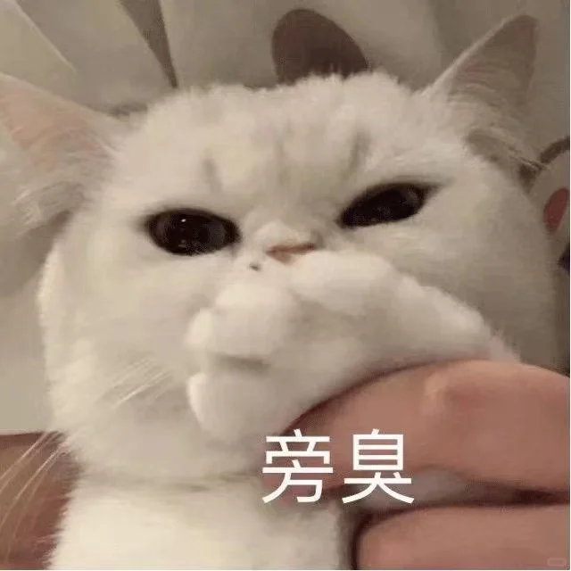 更新一组猫猫表情包!