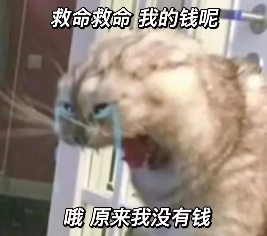 更新一组猫猫表情包!