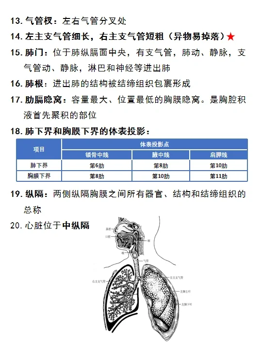 上岸贴！！！！E类必考考点之呼吸系统