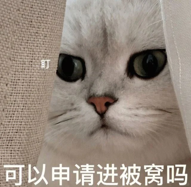 谁能拒绝小猫咪呢?小情侣必备表情包