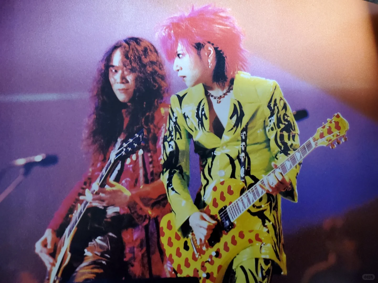 PATA & HIDE