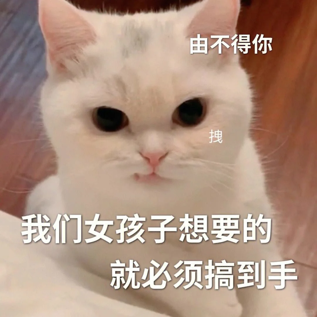 谁能拒绝小猫咪呢?小情侣必备表情包