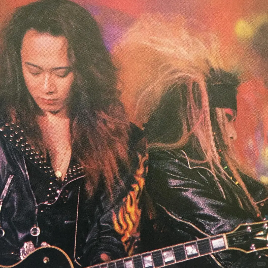 PATA & HIDE