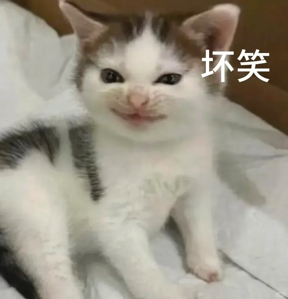 表情包｜猫猫第二弹