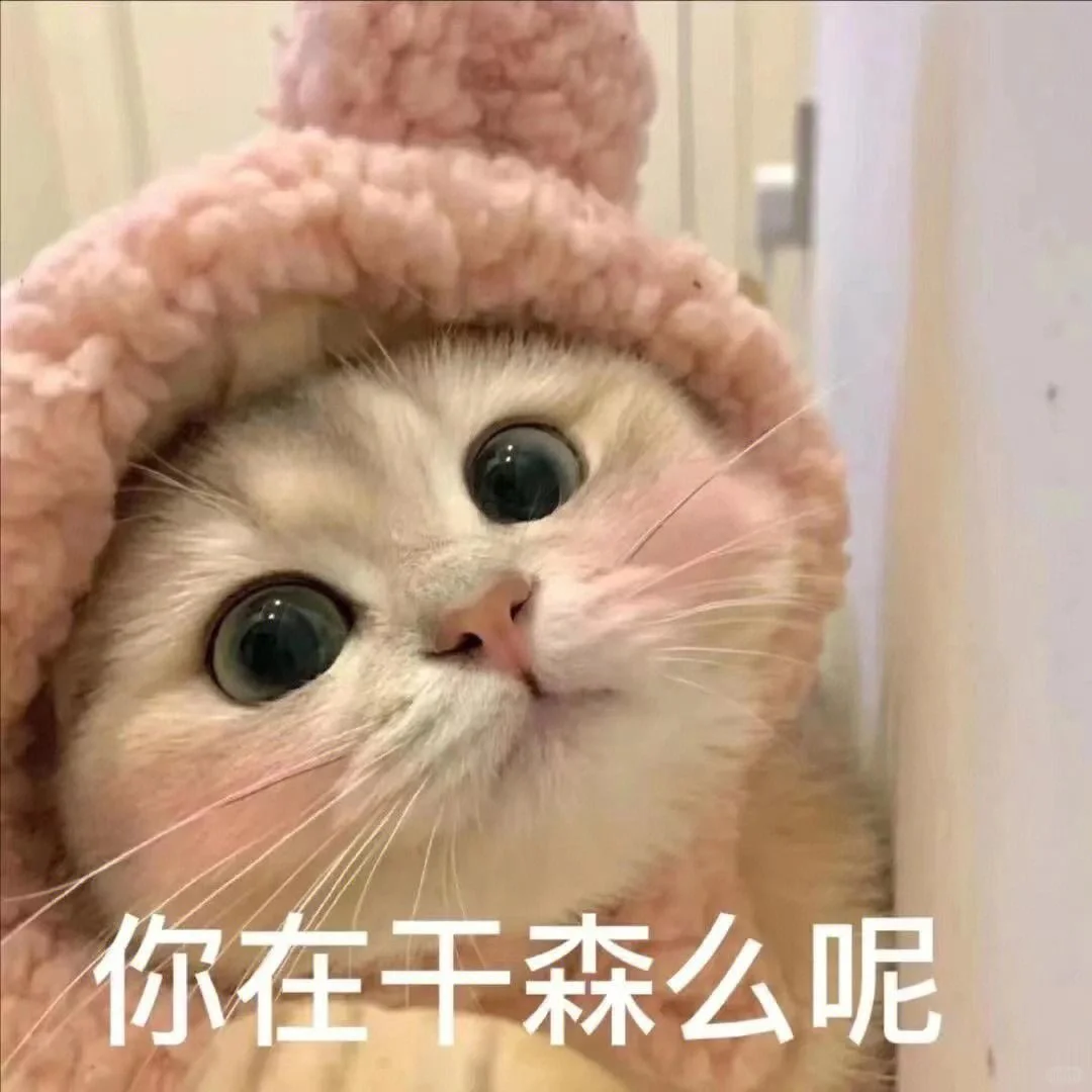 谁能拒绝小猫咪呢?小情侣必备表情包