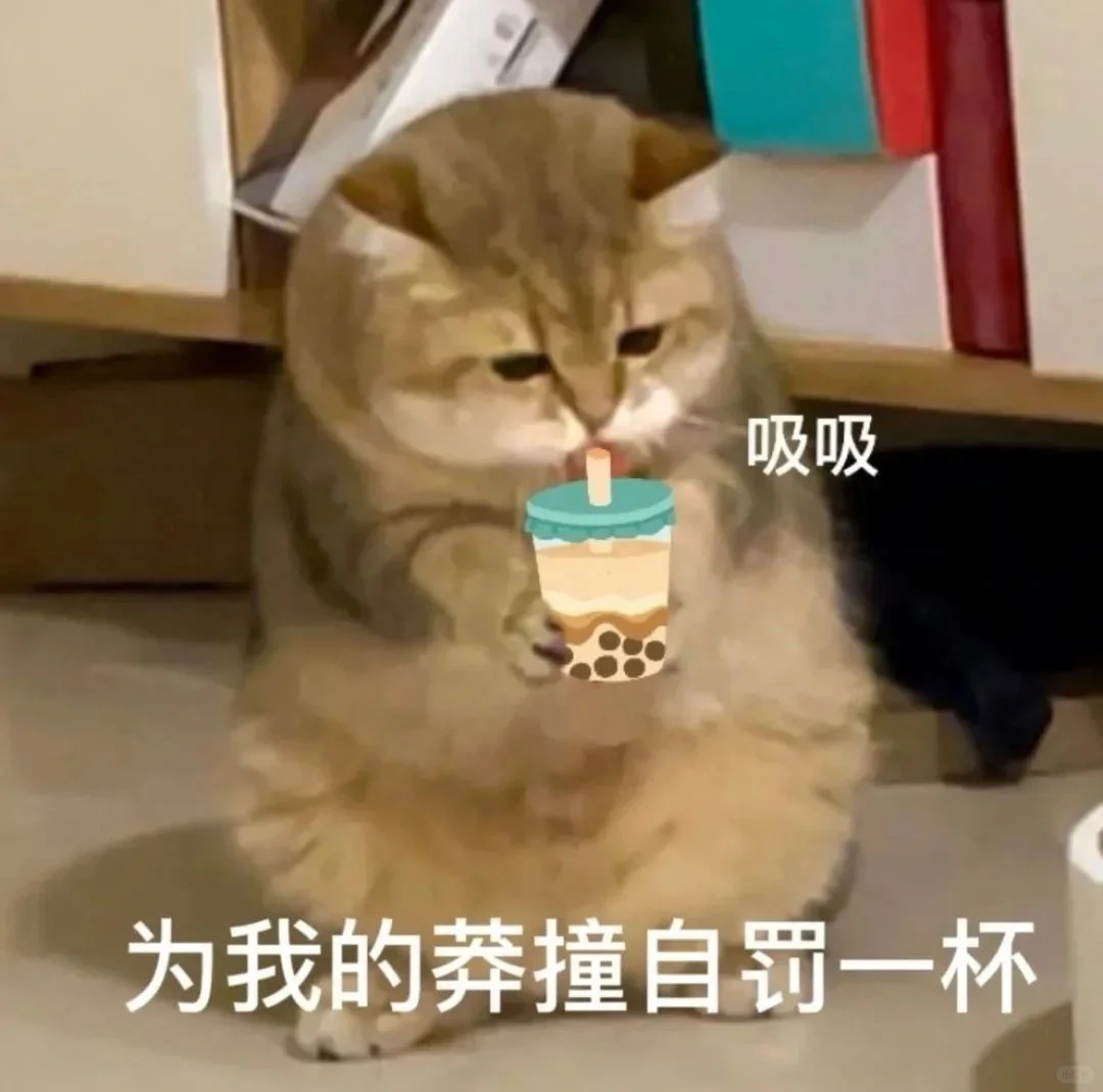 小可爱猫猫我来了！