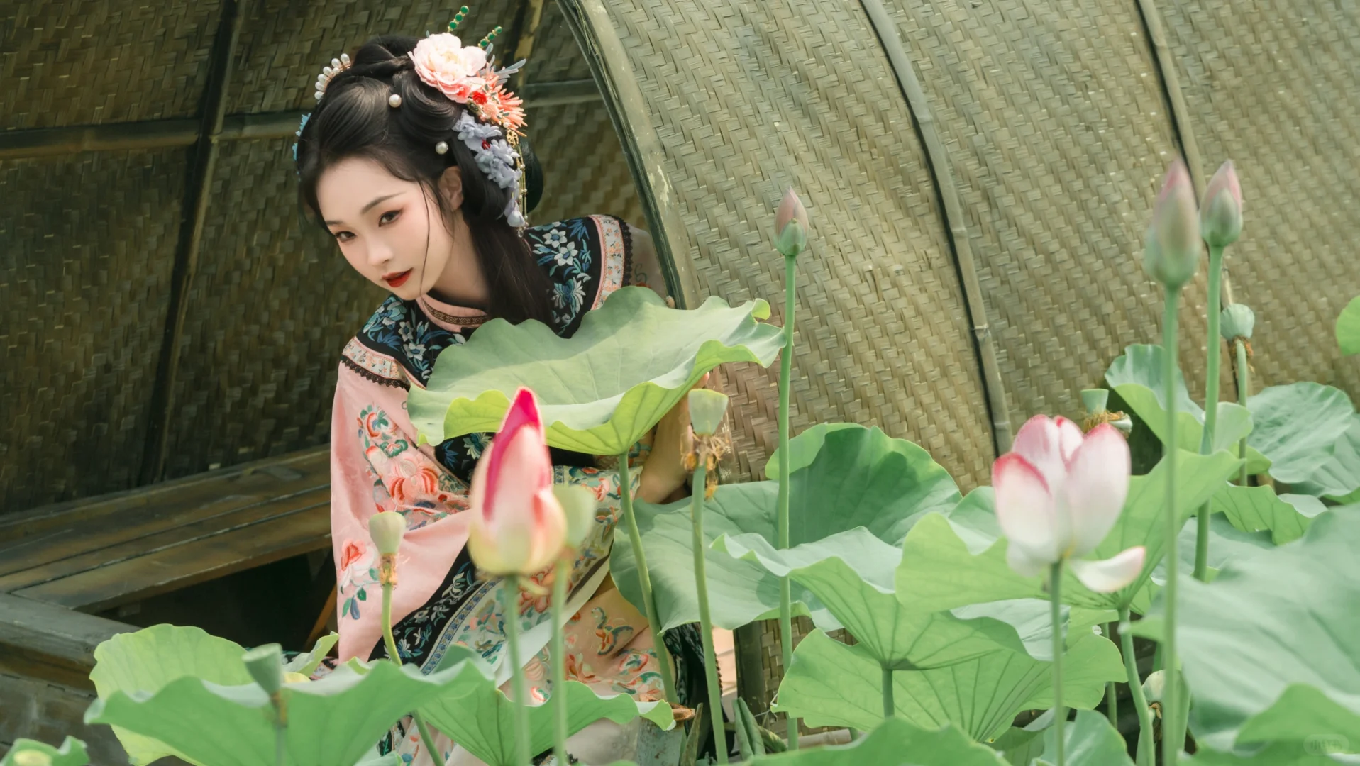 夏日小清新✨，粉色清汉女荷花写真