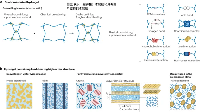 IF:83.5！水凝胶女神！最新Nature系列综述