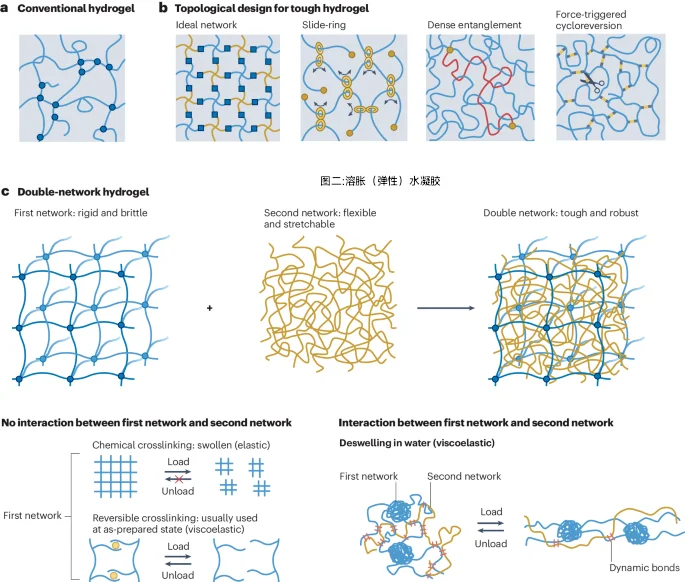 IF:83.5！水凝胶女神！最新Nature系列综述