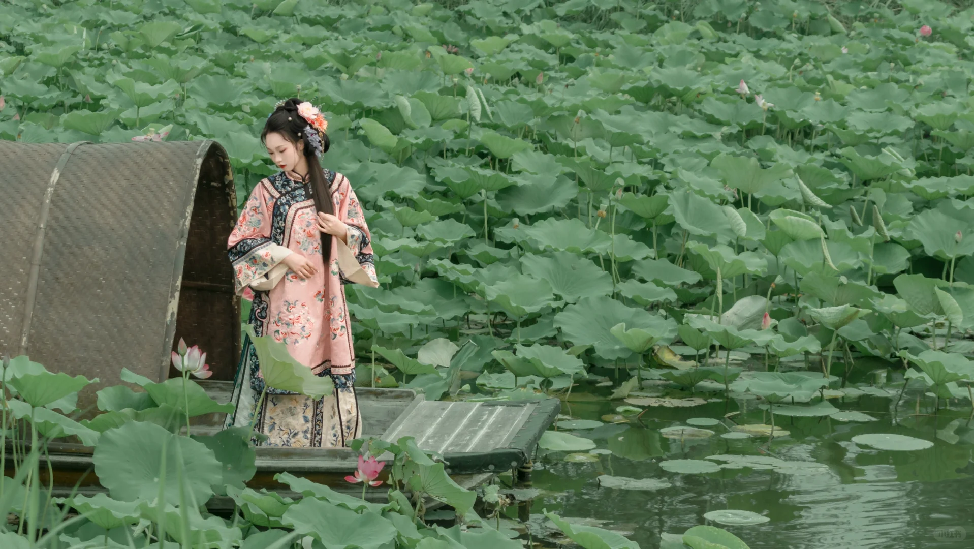 夏日小清新✨，粉色清汉女荷花写真