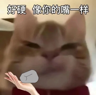 快进来接受可爱歪嘴小猫的追求