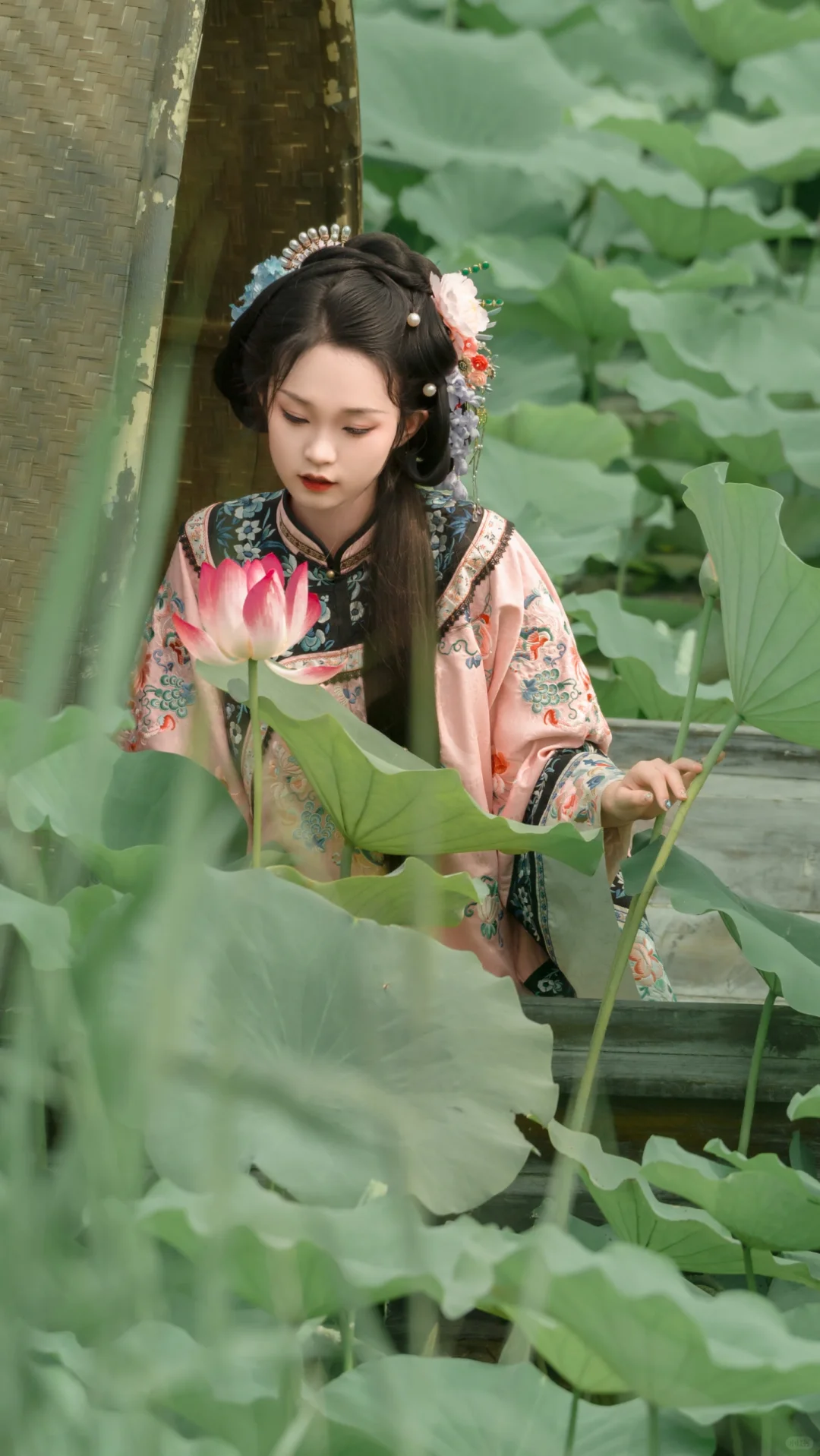 夏日小清新✨，粉色清汉女荷花写真