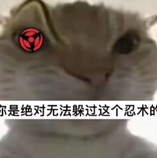 挑战全网这个小猫表情包最多（1）