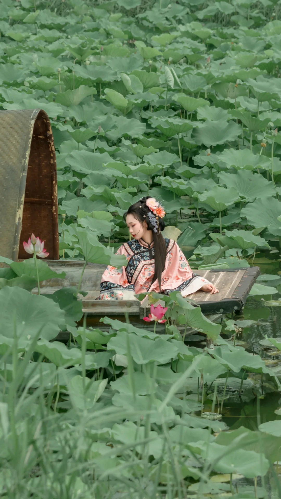 夏日小清新✨，粉色清汉女荷花写真