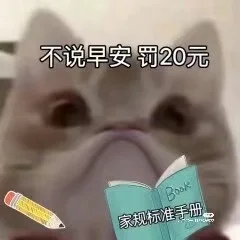 小猫表情包?