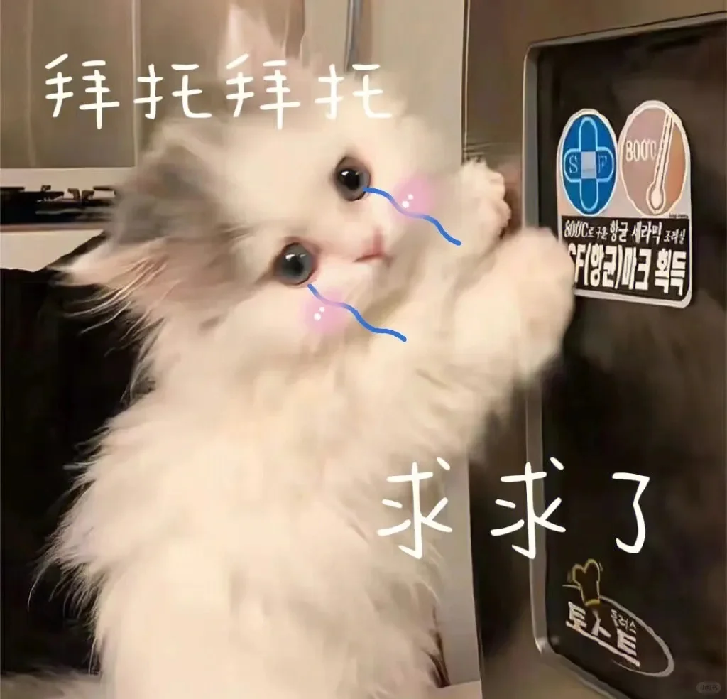 分享一下猫咪表情包