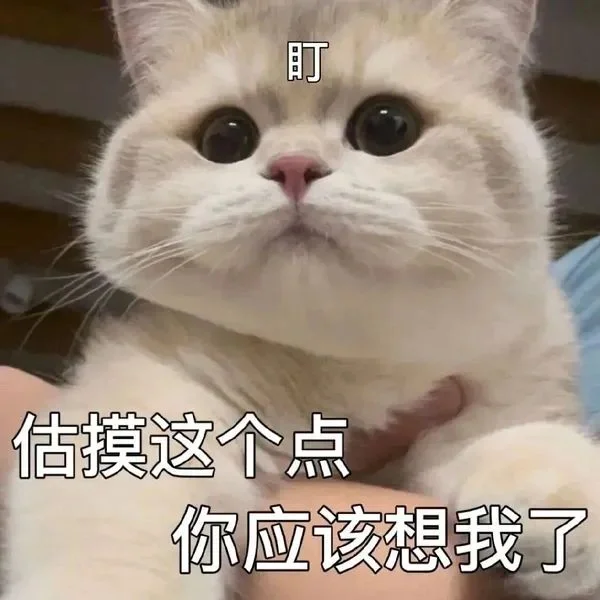 分享一下猫咪表情包