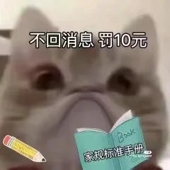 小猫表情包?