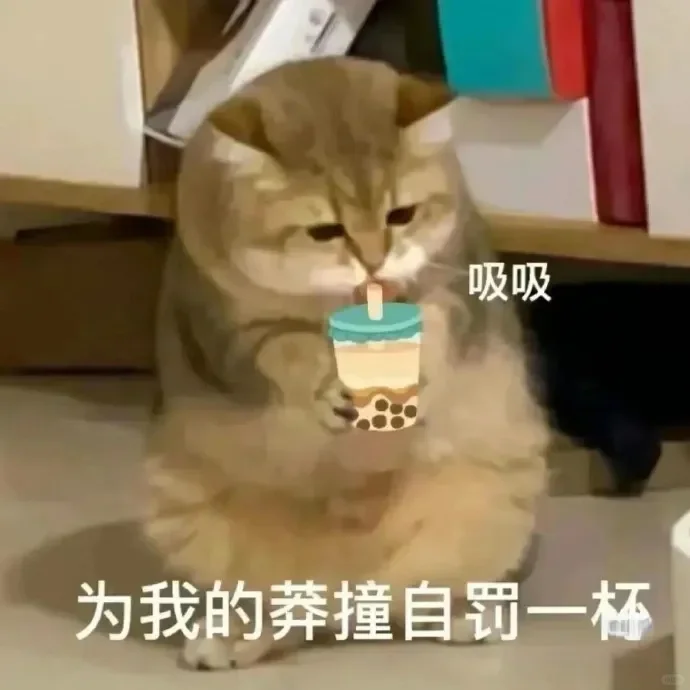 分享一下猫咪表情包