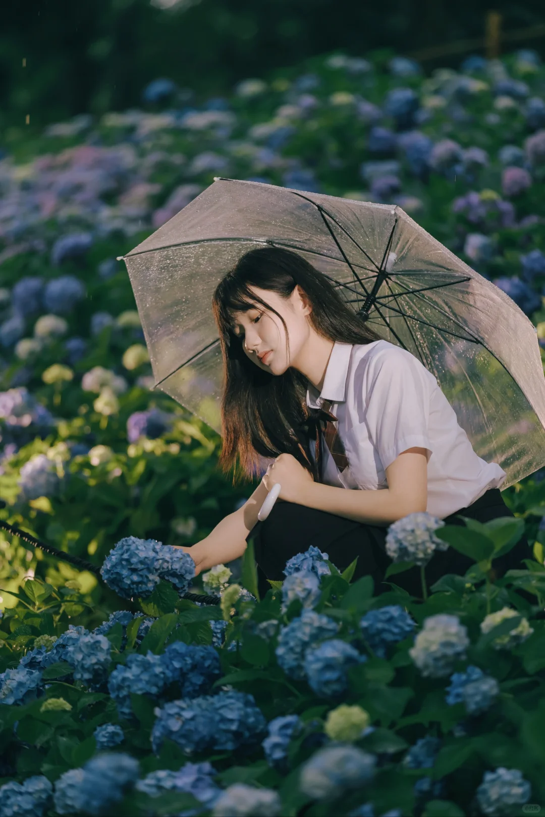 潮湿的夏天?️｜无尽夏