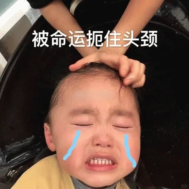 表情包大杂烩快来看看吧！