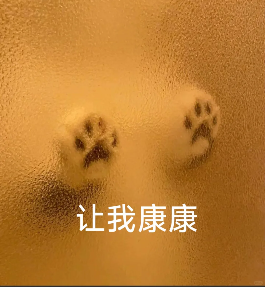 猫猫表情包，