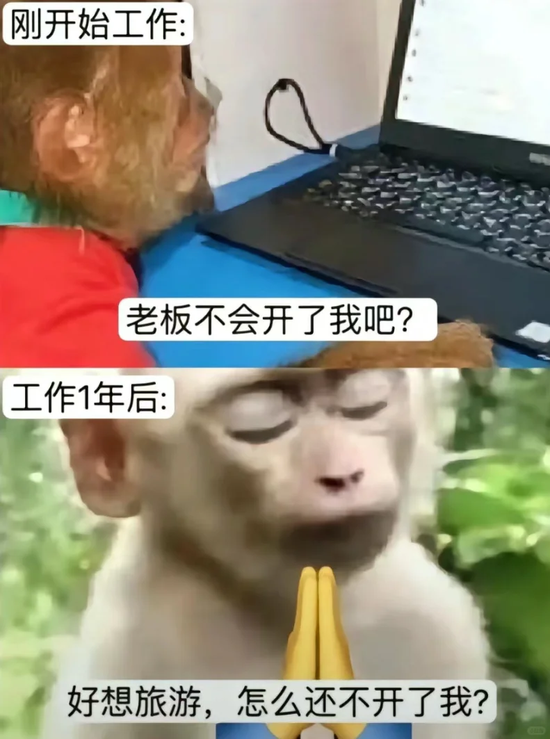 吗喽表情包第二集