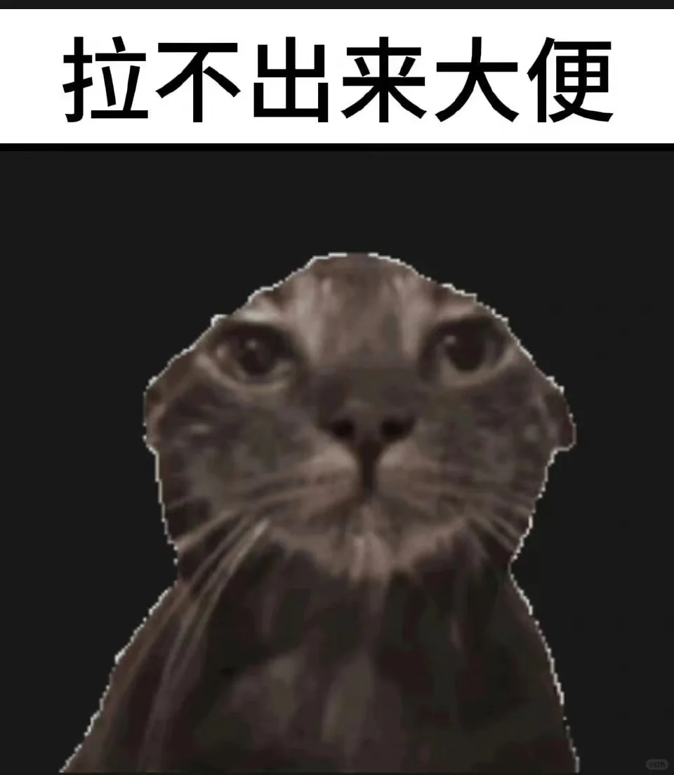 来点抽象猫猫表情包吧！