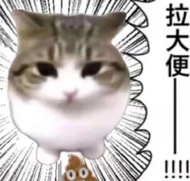 来点抽象猫猫表情包吧！